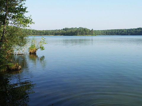 Jezioro Strzeszyńskie - Z jednej strony metropolia z drugiej zaciszne wędkarstwo