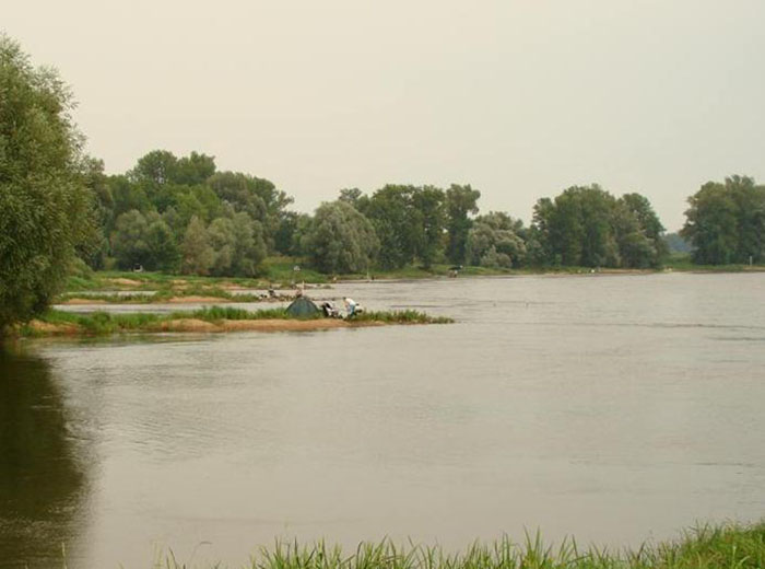 Odra w okolicach Gubina