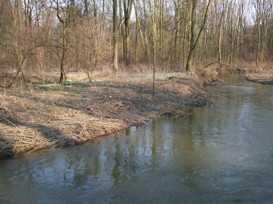 Widoki nad Oławką - Marzec