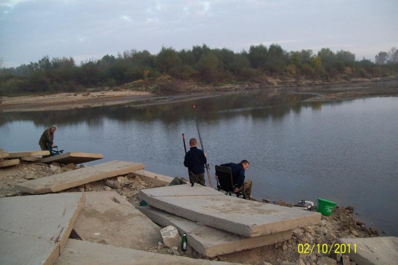 AMUR KOŃCZY SEZON  2011 R.