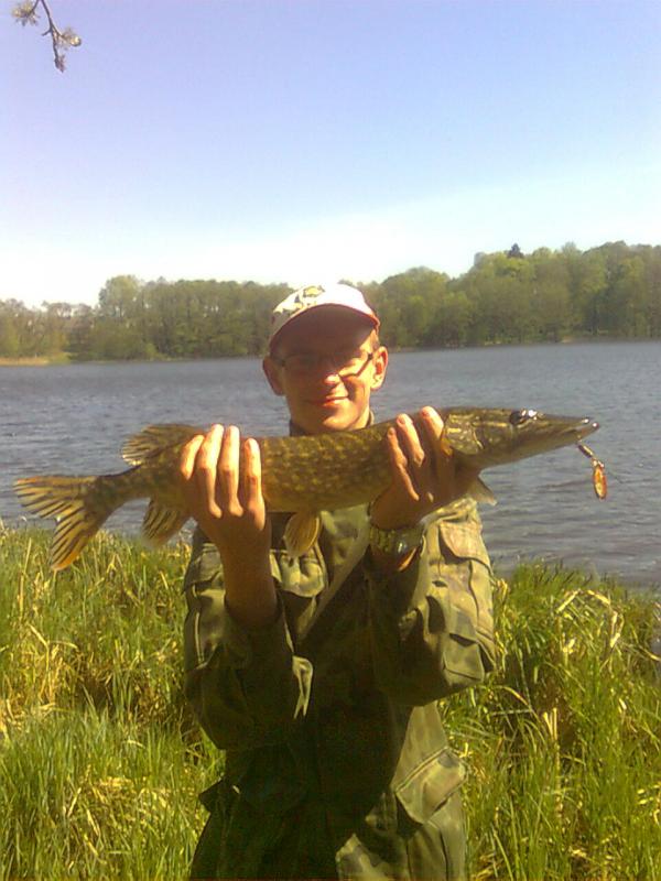 Wiosenny szczupaczek