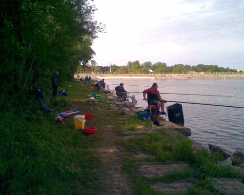 Galeria Koła AMUR !