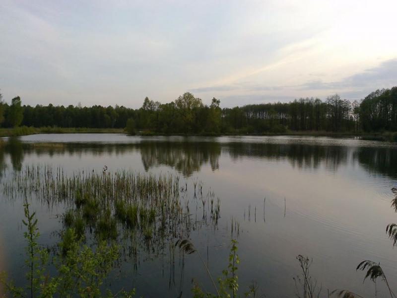 Łowisko Złoty Karpik