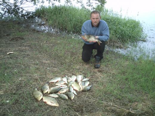 Wzdręgi na medal - 3