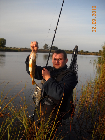 to są okonie jak słonie 