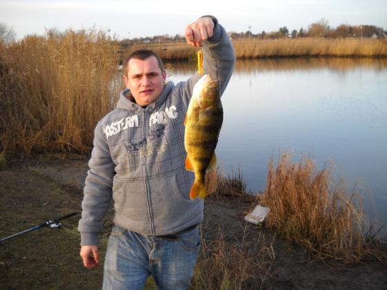 okoń 2 kilogramy kopenhaga 