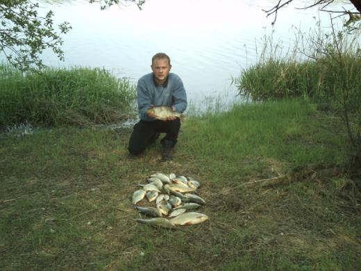 Wzdręgi na medal - 4