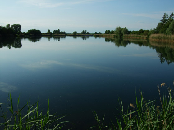 Żwirownia Ptakowice