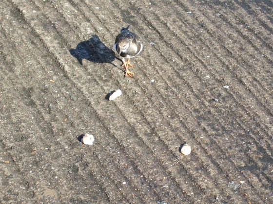 Zimowe widoki nad morzem