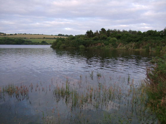 Wysoka woda jeziorowa