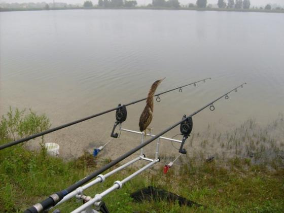 centralka bezprzewodowa:)