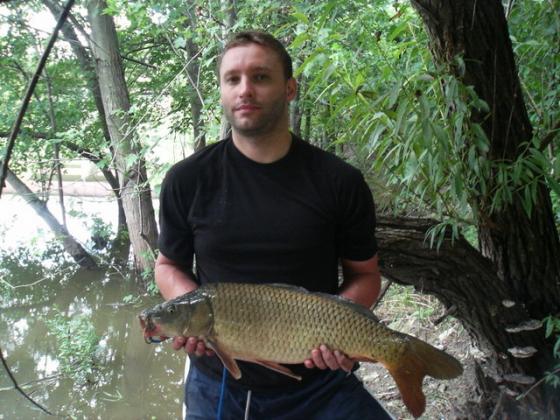 Karp z plytkiej wody