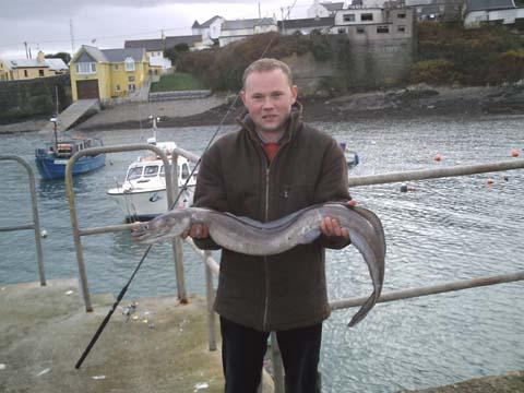 Konger, dobra piątka