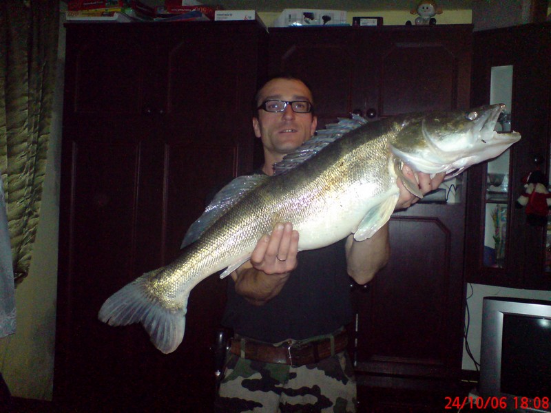 taka ryba i nie mała