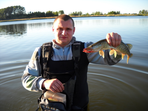 szczupaczek przeczkolak