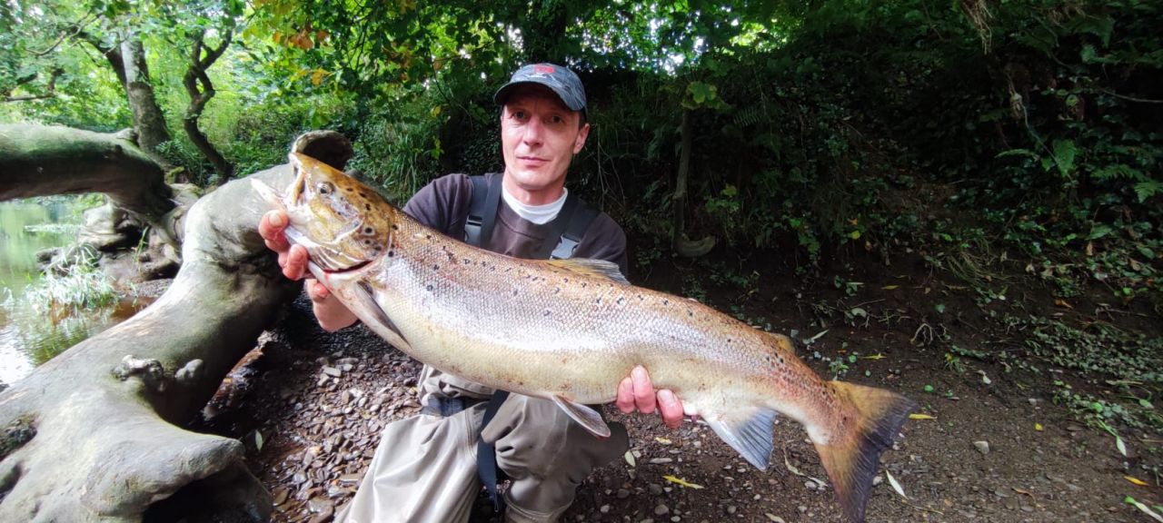 Piękny łosoś na zakończenie sezonu