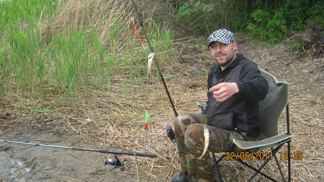 kolega dawid dwa okonki