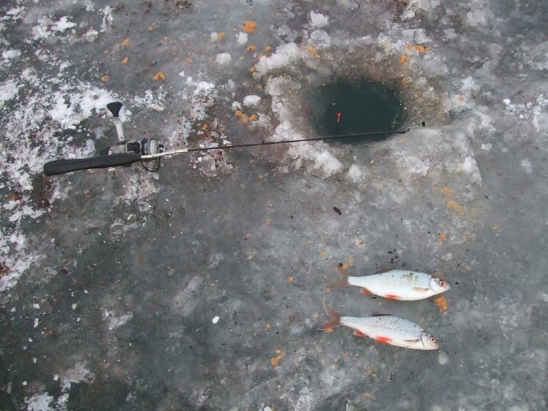 Zimowe płocie na żwirowni