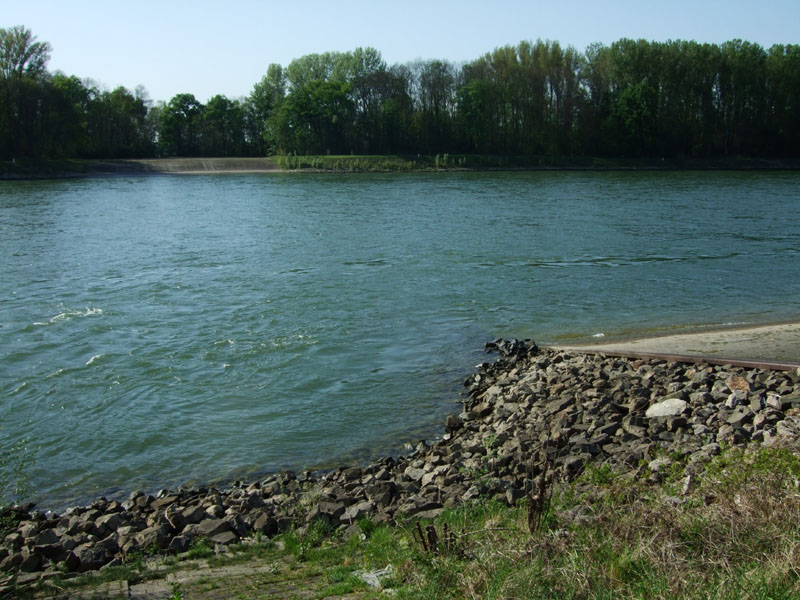 Rzeka Ren / Rhein Mannheim