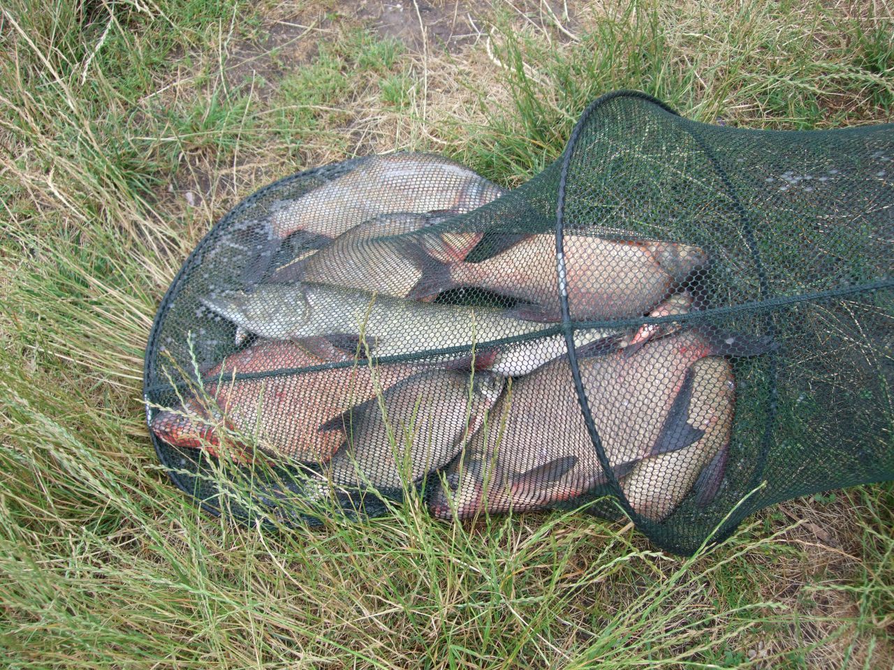 Jeziorowe wędkowanie