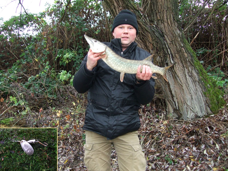 Szczupak listopadowy