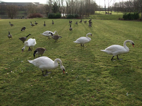 Zimowe widoki nad morzem