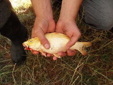 Nie wiem, co to jest