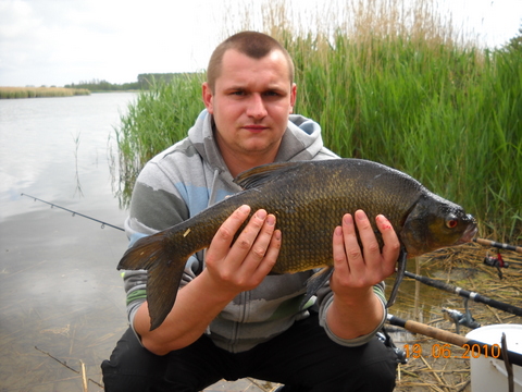 leszcze piękna rybka