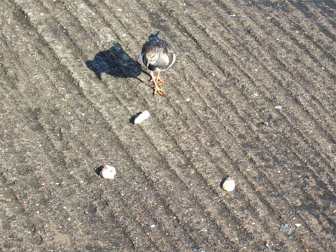 Zimowe widoki nad morzem