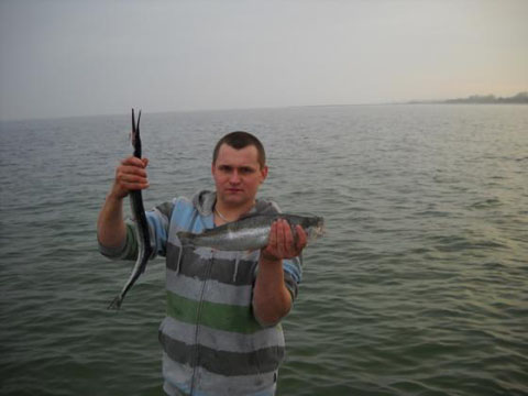 pstrąg morski i belona 