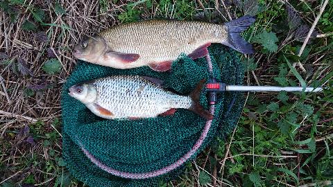 Jaź i płoć na medal w marcu