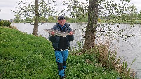 Fantastyczny jesiotr