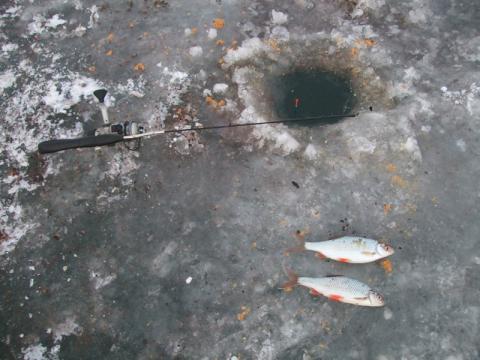 Zimowe płocie na żwirowni