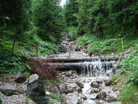 Potok w Alpach