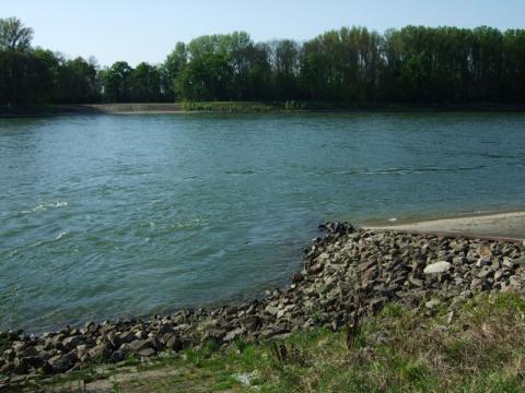 Rzeka Ren / Rhein Mannheim