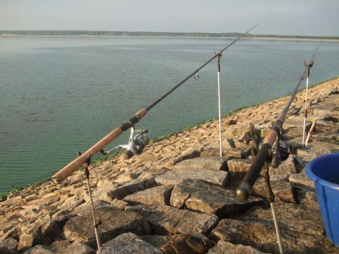 Turawa i drgająca szczytówka